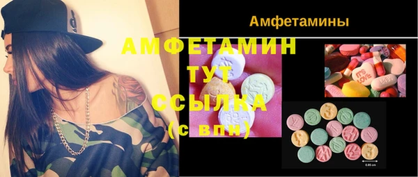стафф Алзамай