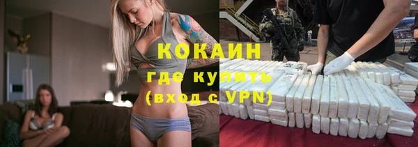 стафф Алзамай