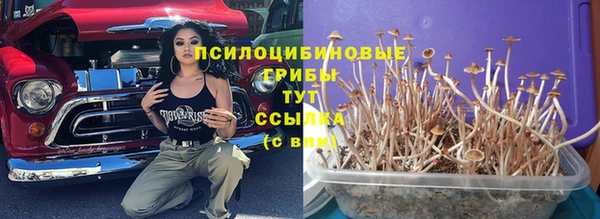 2c-b Алексеевка