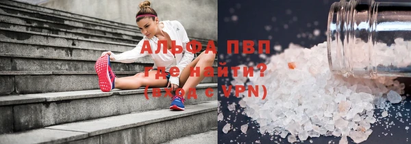 стафф Алзамай