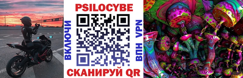Галлюциногенные грибы Cubensis  KRAKEN сайт  Хилок  хочу  